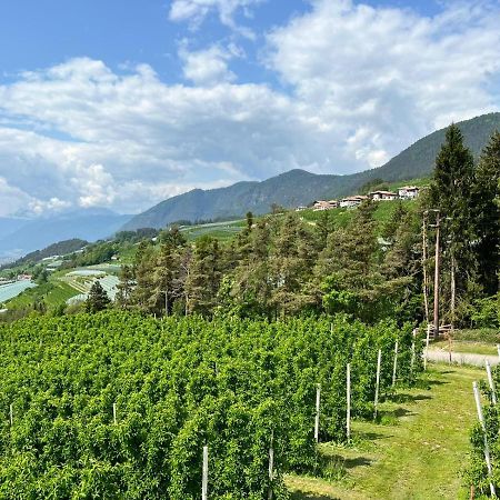 Вілла Agritur Maso Forcola Brez Екстер'єр фото