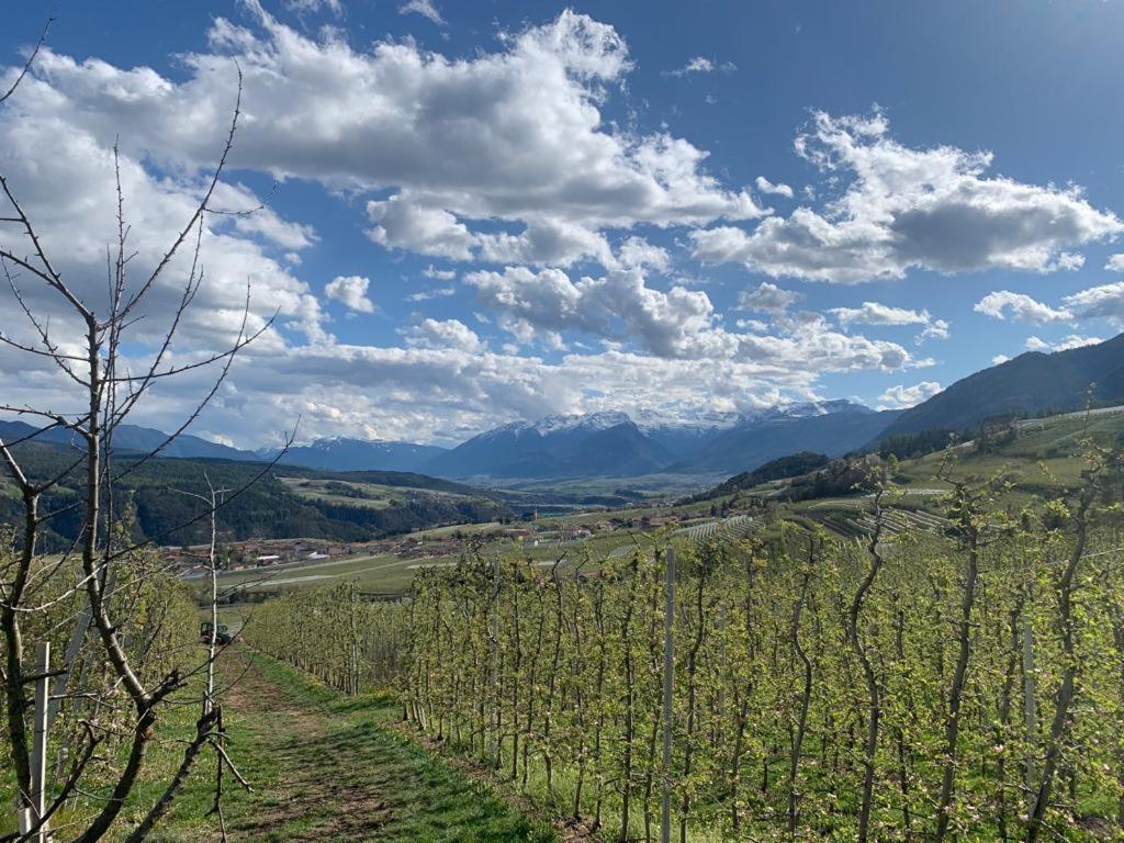 Вілла Agritur Maso Forcola Brez Екстер'єр фото