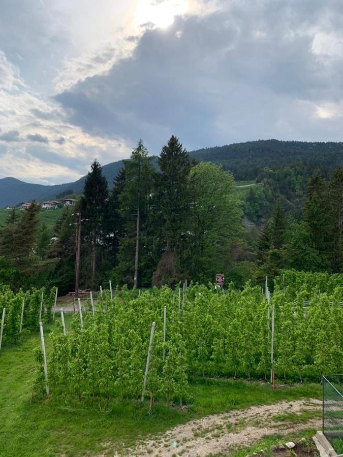 Вілла Agritur Maso Forcola Brez Екстер'єр фото