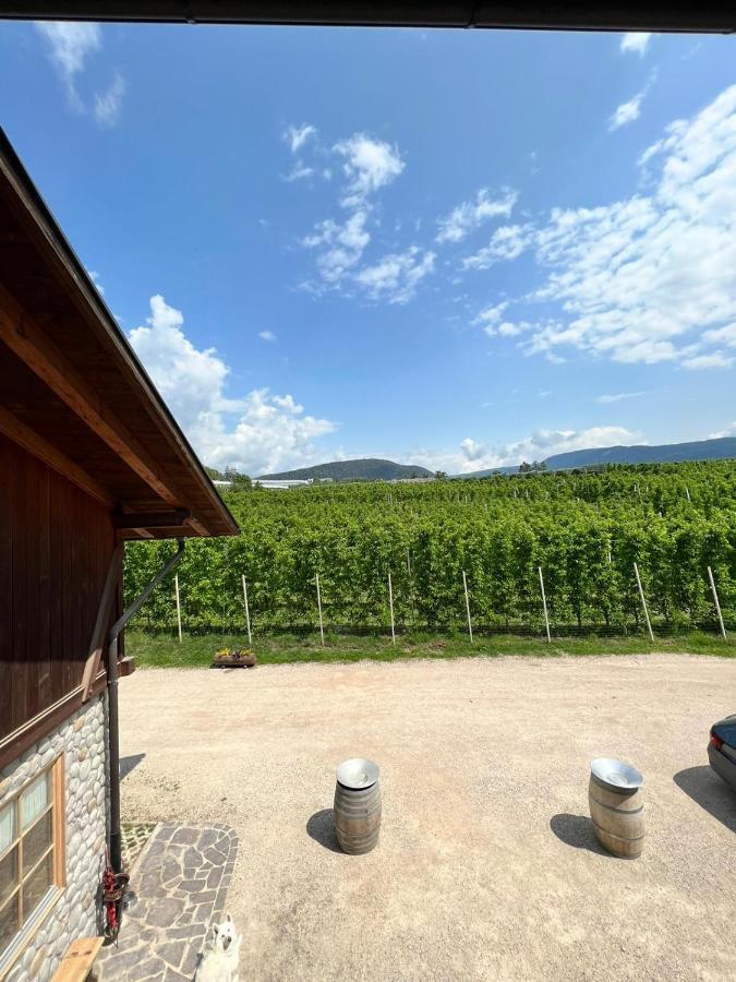 Вілла Agritur Maso Forcola Brez Екстер'єр фото