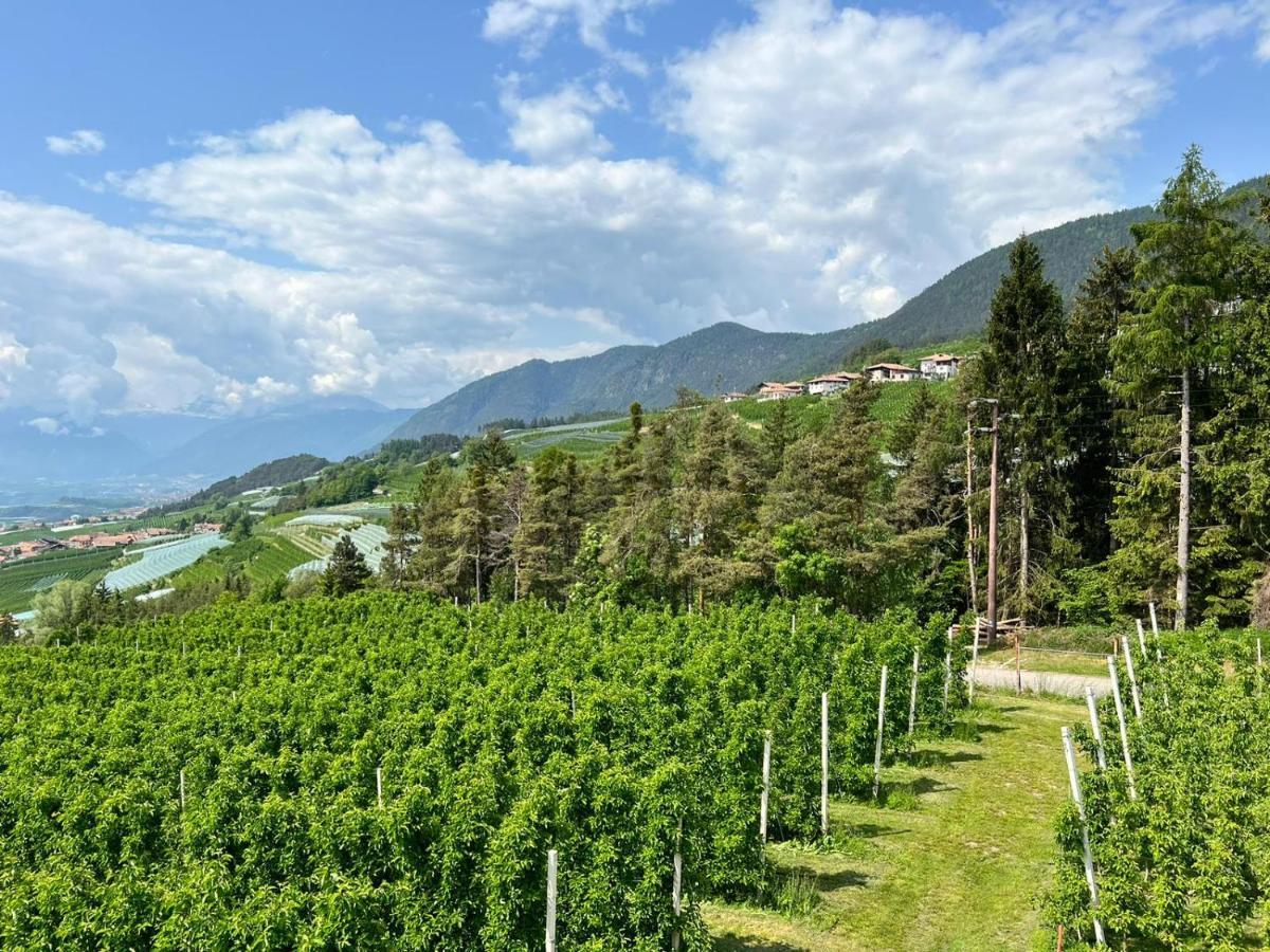Вілла Agritur Maso Forcola Brez Екстер'єр фото