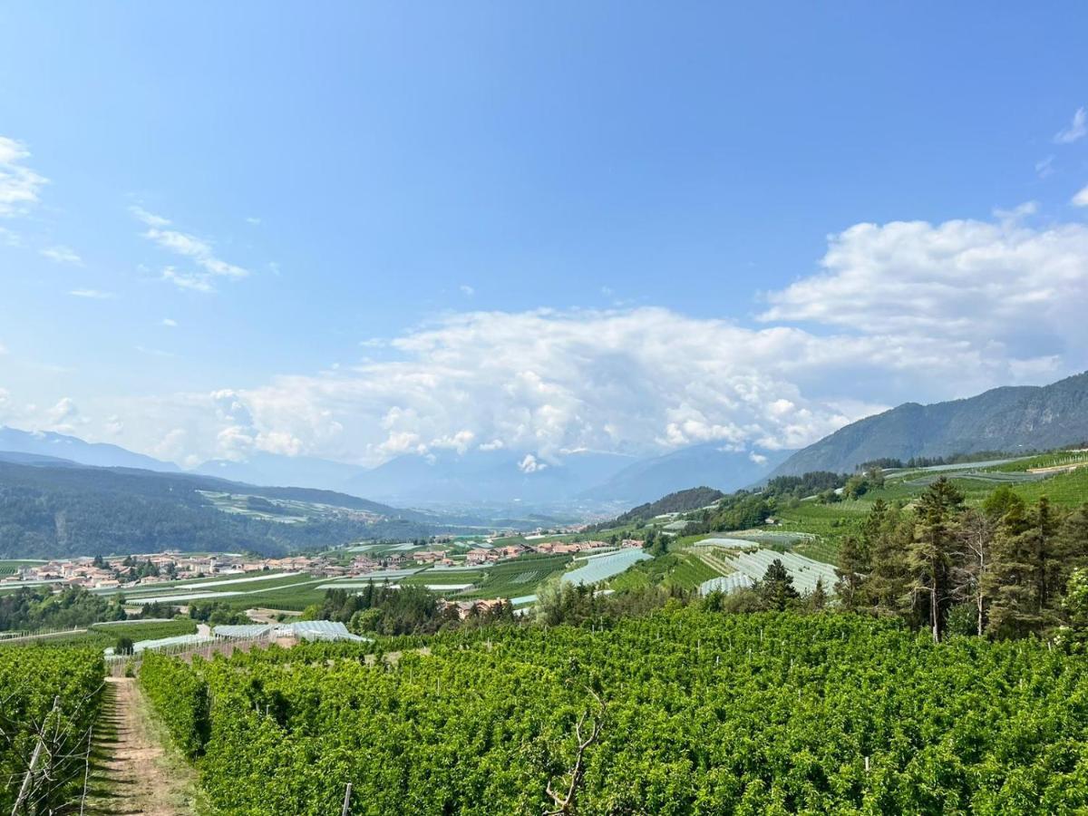 Вілла Agritur Maso Forcola Brez Екстер'єр фото